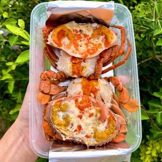 ปูไข่นึ่งนมสด🦀นมสดหอมๆบวกไข่ปูแน่นๆแซ่บลืมจ้า