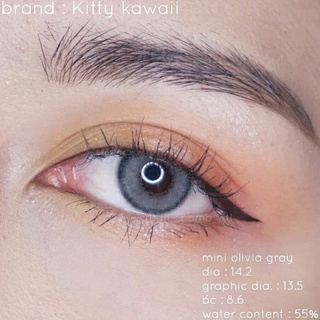 ค่าสายตา -4.25 ถึง -10.00 Kitty Kawaii Mini Olivia(Gray,Brown)