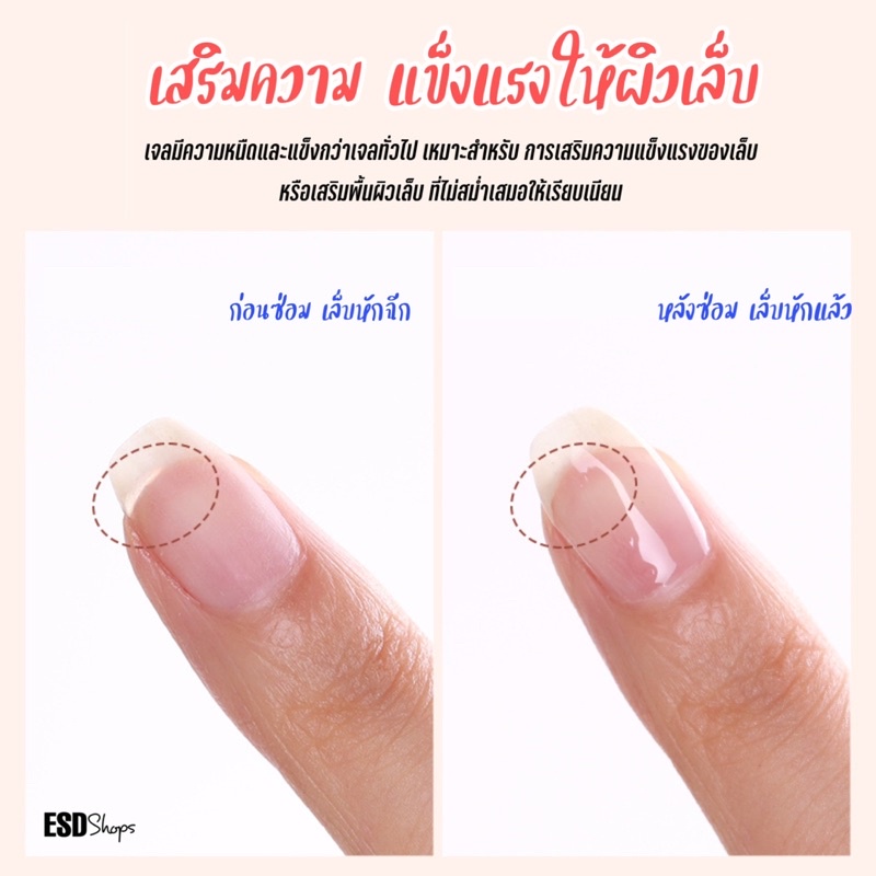 misscheering-molded-seal-เจลทำหลังเต่า-ให้เล็บโค้งสวย-สีติดทน-ทำลายนูน-ลายเปลือกหอย