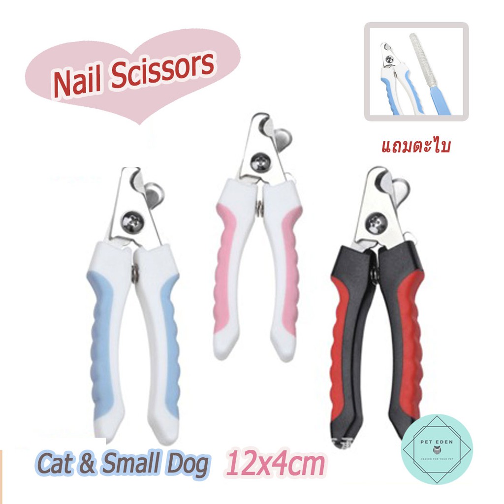 ภาพหน้าปกสินค้ากรรไกรตัดเล็บแมว สุนัขพันธุ์เล็ก แถมฟรีตะไบ ขนาดกรรไกร 12x4 cm กรรไกรตัดเล็บหมา scissors for small dog nail