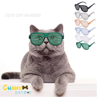 แว่นตาสัตว์เลี้ยง แว่นตาลายเส้น แว่นตาแมว แว่นตาหมา แว่นตาสัตว์เลี้ยงแฟชั่น