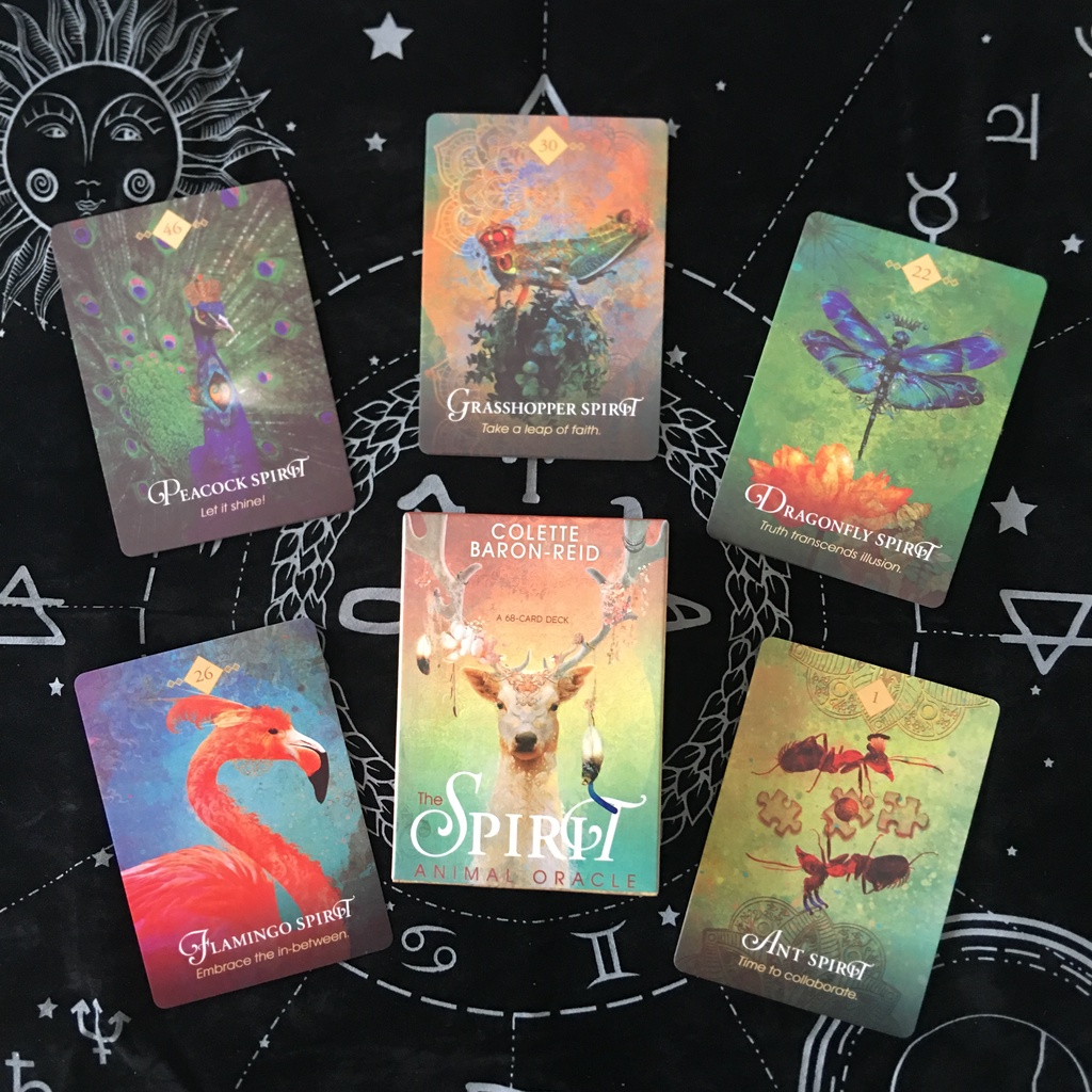 The Spirit Animal Oracle Card The Spirit Animal Oracle English เกม ...