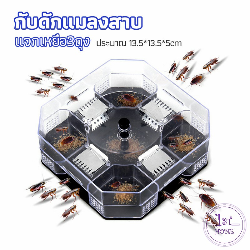 ที่ดักแมลงสาบ-ที่ดักแมลงสาบ-กล่องดักแมลงสาบ-cockroach-trap