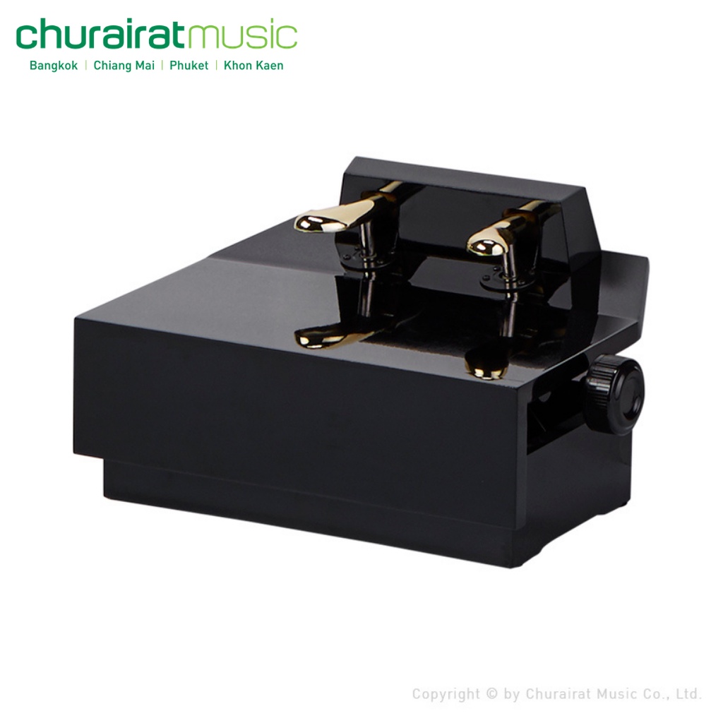 classic-piano-pedal-สำหรับเด็ก-by-churairat-music