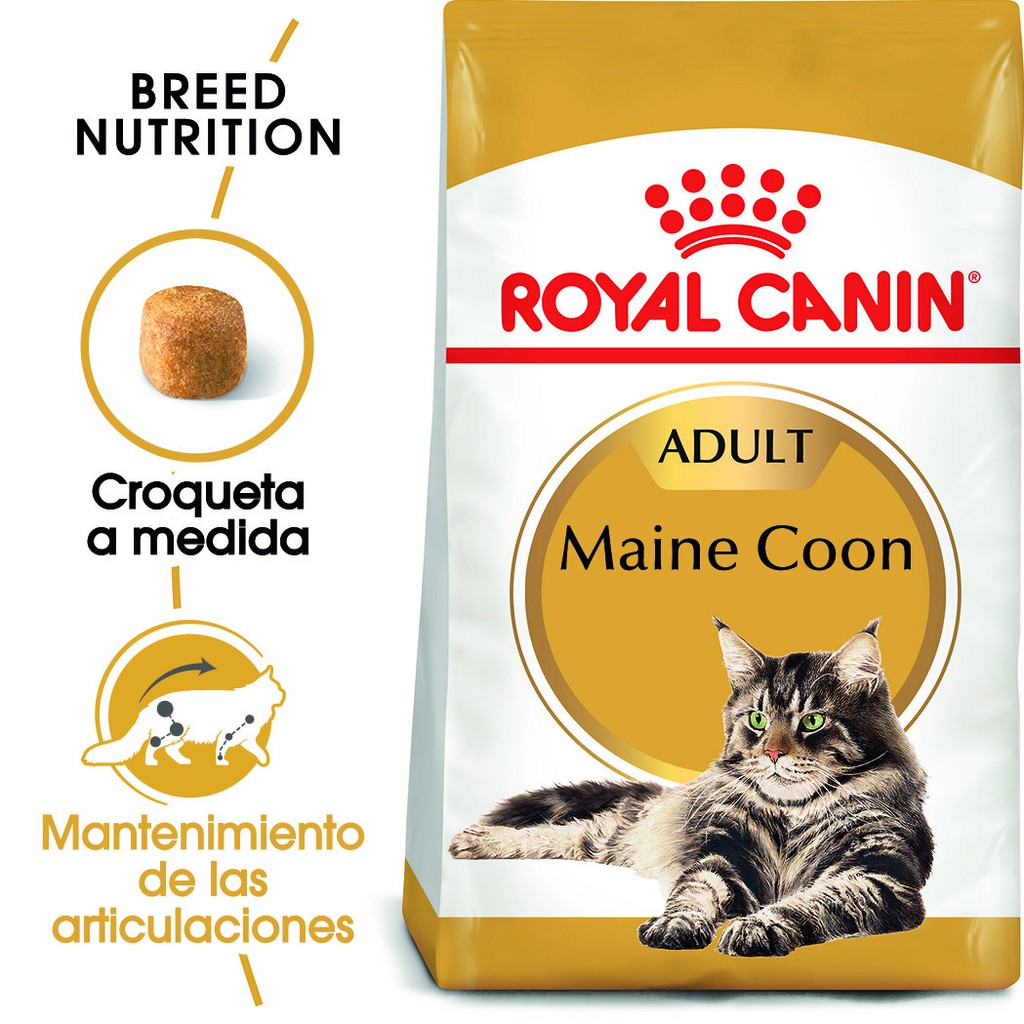 แบ่งขาย-royal-canin-maine-coon-adult-1-กิโลกรัม-สำหรับ-แมวโต-พันธุ์เมนคูน