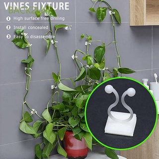 BACK2LIFE 10/20/50/100pcs Plant Climbing Wall Clip Sticky Plant Stent Support Wall Vines Fixture Hook Bracket Holder Cages Invisible Fixed Wall Rattan Clamp
