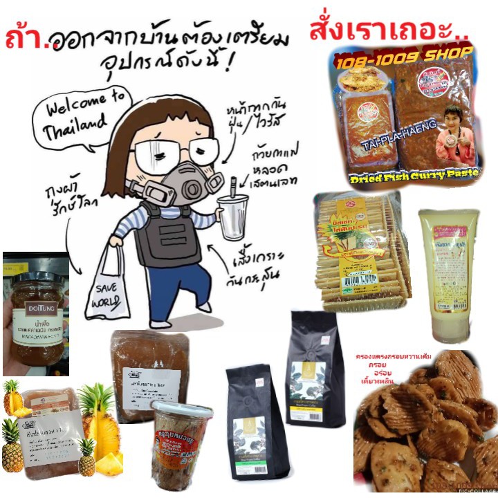 กาแฟอาราบิก้า-ชนิดเมล็ดคั่ว-ดอกแมคคาเดเมีย-ดอยตุง-โครงการหลวง