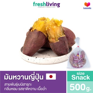 ภาพหน้าปกสินค้ามันหวานญี่ปุ่น เบนิมาซาริ ไซส์ Snack แพ็ค 500g. กลิ่นหอม เนื้อนุ่มหนึบ รสชาติหวาน Shitori ที่เกี่ยวข้อง