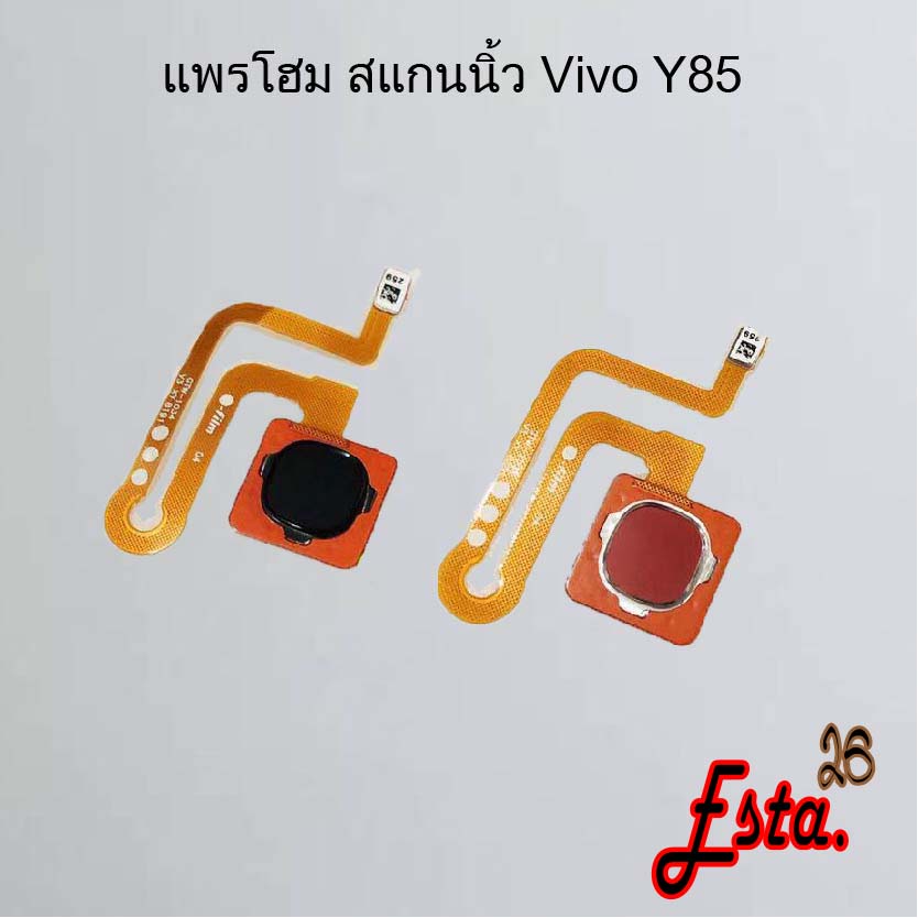 แพรโฮมสแกนนิ้ว-fingerscan-flex-vivo-y66-y85-y95