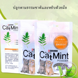 ซองซิบ "พลาสติก" ผงแคทนิป &amp; ผงมาทาทาบิ ของแท้ 100% โรยของเล่นแมว 5g (พร้อมส่ง) Catnip