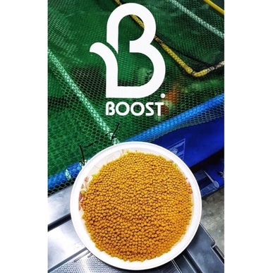 ส่งฟรี-boost-koi-อาหารปลาคราฟ-บูสท์-ถุง-6-5-กก-สูตรเร่งโต-เร่งล่ำ