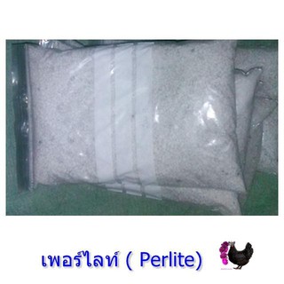 เพอร์ไลท์ ( Perlite) (วัสดุปลูก)  จำนวน 5 ลิตร สำหรับผสมดินเพาะเมล็ด/เพาะกล้า