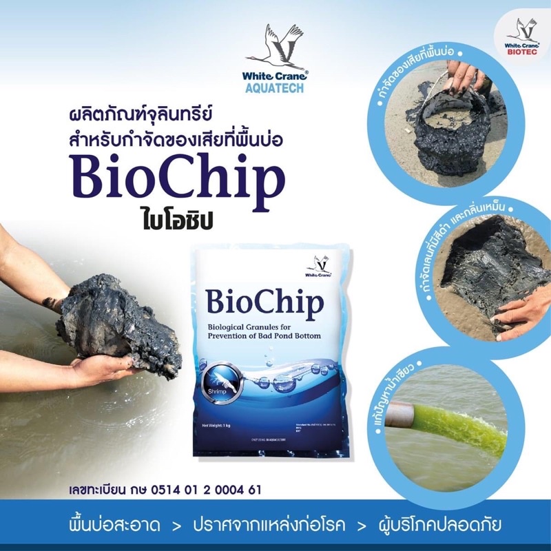 ไบโอชิป-biochip-จุลินทรีย์-กำจัดของเสียที่พื้นบ่อ-บ่อกุ้ง-บ่อปลา-บรรจุ-1กก