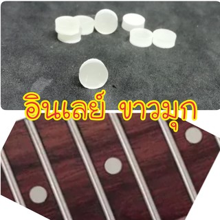 ภาพหน้าปกสินค้าอินเลย์ (ขาวมุก) กีต้าร์ พิณ Inlay ที่เกี่ยวข้อง