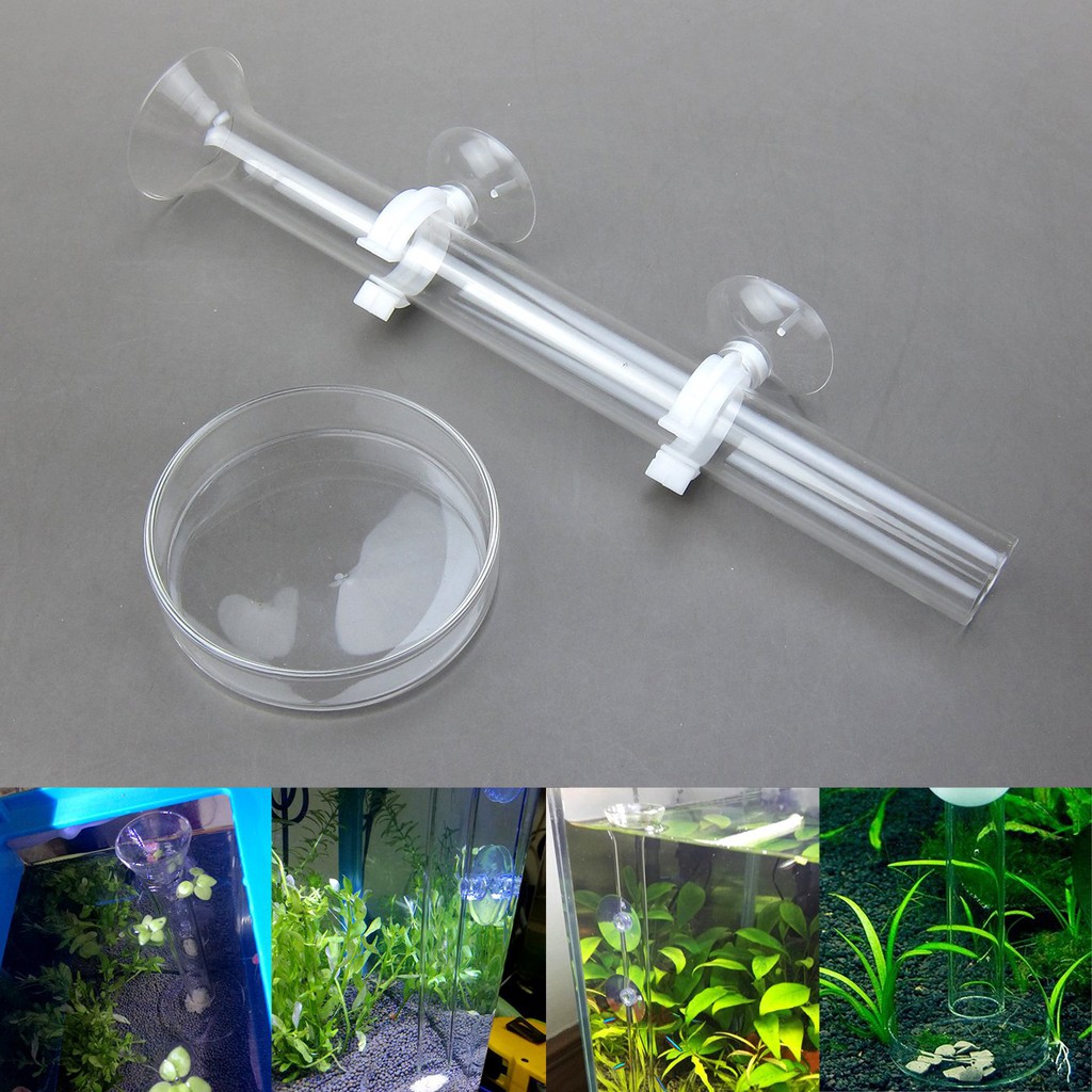 ท่อให้อาหารกุ้ง-พร้อมถ้วยแก้ว-shrimp-feeding-dash-tube-suction-cup-ที่ให้อาหารกุ้ง-หลอดให้อาหารกุ้ง-จานแก้วให้อาหารกุ้ง