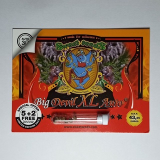 เมล็ดกัญชา Sweet seeds Big Devil XL Auto 7 cannabis seeds