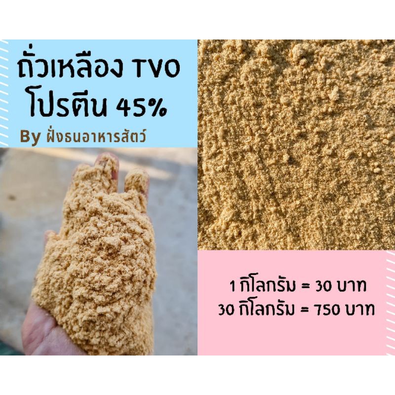 ถั่วเหลือง-tvo-ถั่วtvo-โปรตีน-45-กากถั่วเหลือง-แบ่งบรรจุ-พร้อมส่ง