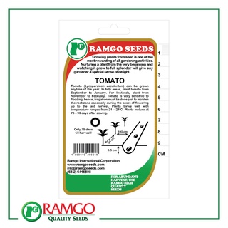 RPO Tomato Round Marglobe Floradade Seeds内裤/芹菜/花园/上衣/木瓜/seeds/头饰/园艺/香菜/手链/ JIVA