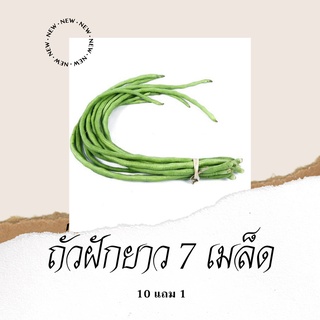 เมล็ดพันธุ์ผัก ถั่วฝักยาว 7เมล็ด 10แถม1 คละได้ ปลูกง่ายโตไว