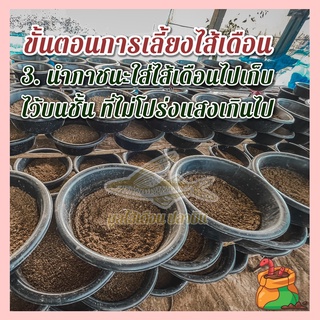 ภาพขนาดย่อของภาพหน้าปกสินค้ามูลไส้เดือนปลาบิน มูลไส้เดือนแท้100% ไม่ผสม คุณภาพดีที่สุดใช้กับต้นไม้ได้ทุกชนิด น้ำหนัก (800-1,000 กรัม) จากร้าน plabin.thailand บน Shopee ภาพที่ 6