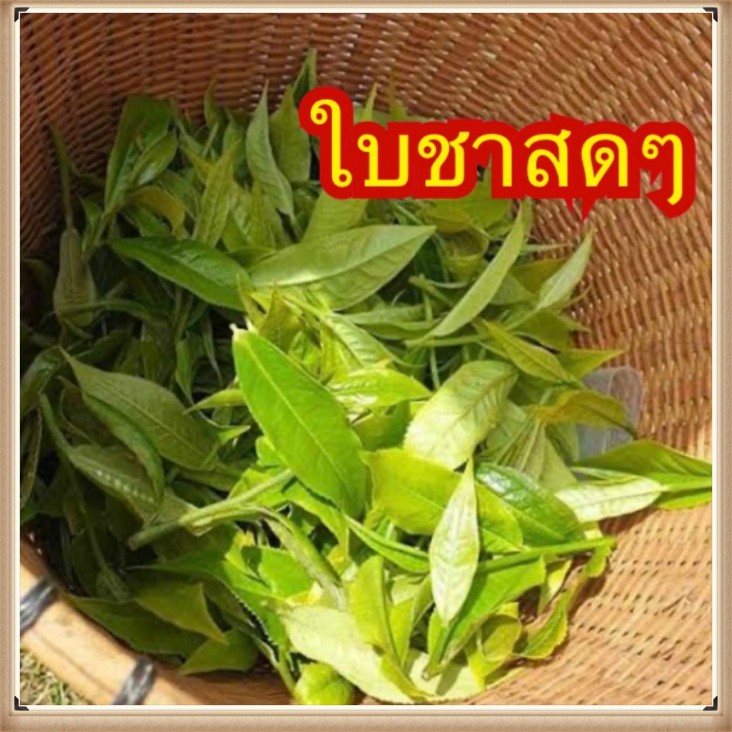 ใบชานำเข้า-ชาจีนนำเข้า-ขายดี-ชาและสมุนไพร-ชาหอมอร่อย-สิ้นค้าพร้อมส่ง-ขนาด-60กรัม-กลิ่นหอม-อร่อย-กลมกล่อม-cha09