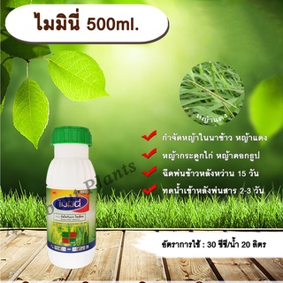 ไมมินี่  500ml.บิสไพริแบกโซเดียม สารกำจัดวัชพืช กำจัดหญ้า ในนาข้าว กำจัดหญ้าแดง หญ้ากระดูกไก่ หญ้าดอกธูป หญ้าดอกต่อ