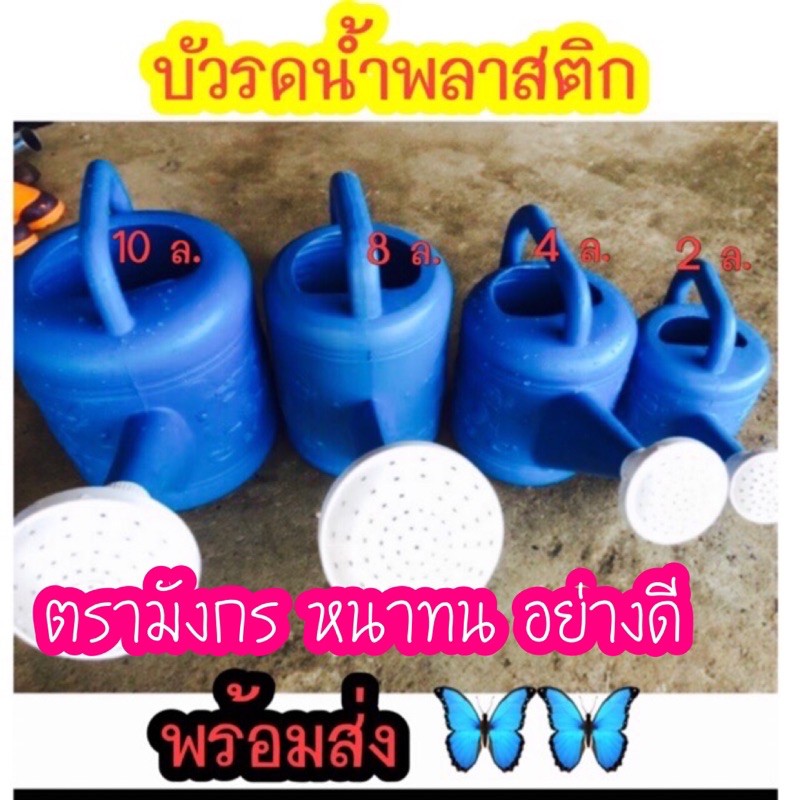 บัวรดน้ำพลาสติกขนาด-2-ล-4-ล-8-ล-10-ล-ลายมังกรอย่างหนา