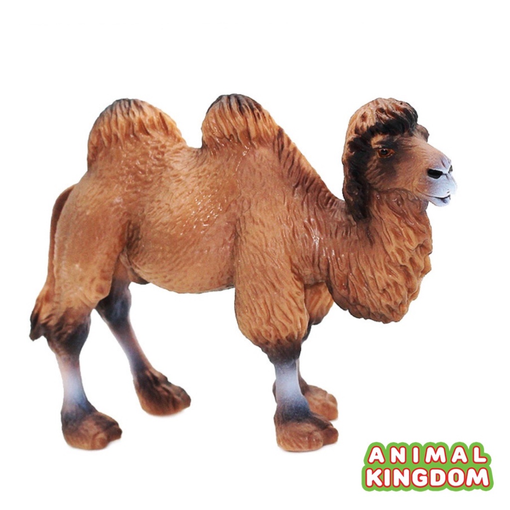 animal-kingdom-โมเดลสัตว์-อูฐ-สองหนอก-น้ำตาล-ขนาด-12-00-cm-จากหาดใหญ่