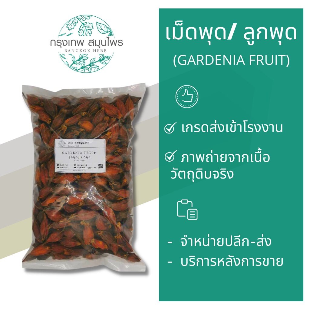 ลูกพุด-เม็ดพุด-ขนาด-1-กิโลกรัม-gardenia-fruit-สำหรับทำน้ำเก๊กฮวย