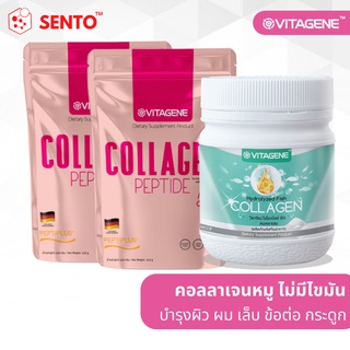 ภาพหน้าปกสินค้าวิตาจิเน่ คอลลาเจนเปปไทด์ 2ถุง แถมฟรี ไฮโดรไลซ์ ฟิช คอลลาเจน 1กระปุก (Vitagene Collagen Peptide x2 Free 1 Fish Collagen) ที่เกี่ยวข้อง