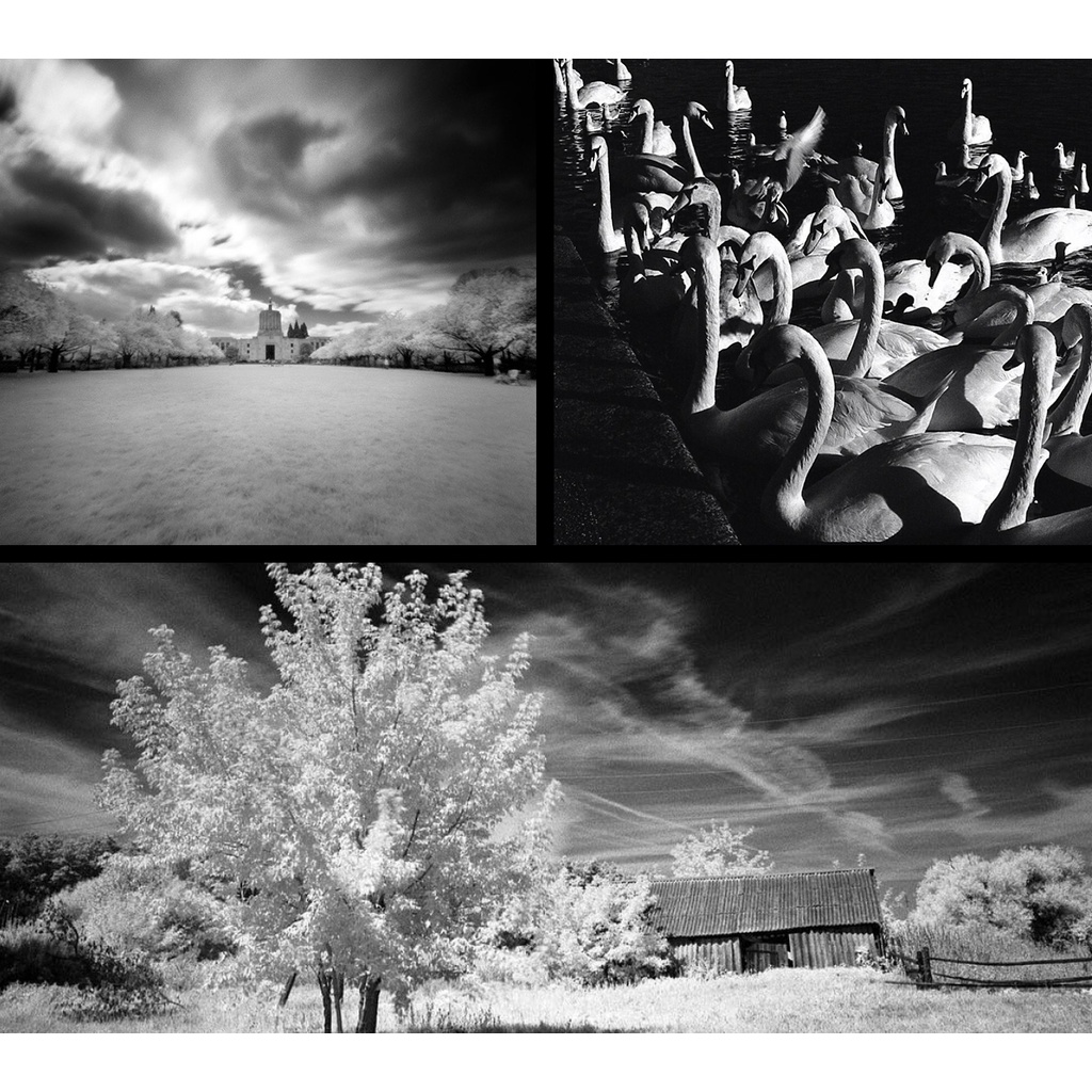 ฟิล์มขาวดำ-rollei-infrared-400-35mm-36exp-ir400-ฟิล์ม-อินฟราเรด-135