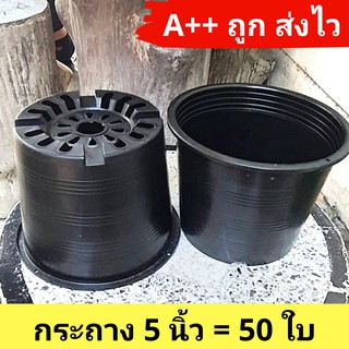 🔥ราคาจัดโปรฯ🔥กระถาง 4 นิ้ว 5 นิ้ว 50 ใบ กระถางต้นไม้ เพาะ ชำ ปลูก เหนียวทน