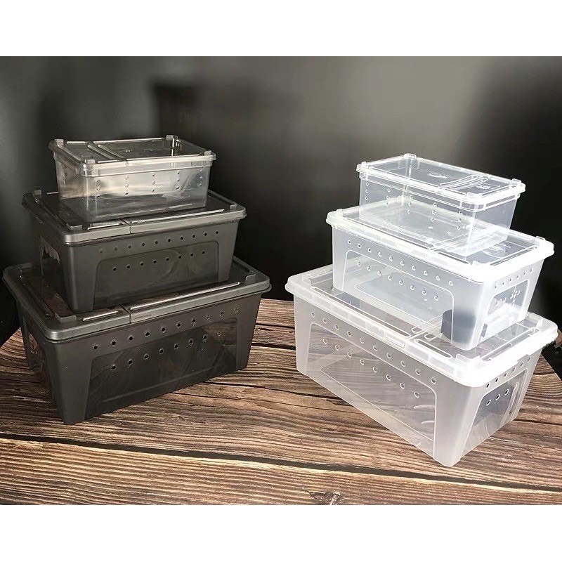 ภาพหน้าปกสินค้าReptile Box กล่องเลี้ยงสัตว์เล็ก สัตว์เลื้อยคลาน สัตว์เล็ก ผสมพันธุ์สดกล่อง สำหรับ แมงมุม ตุ๊กแก ฮอร์นฟรอก ตะขาบ แมงป่อง จากร้าน skypetworld บน Shopee