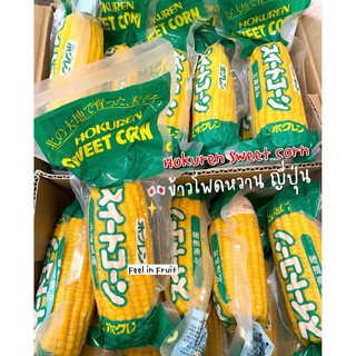 ✨🌽Hokuren Sweet Corn✨(1 ฝัก) ข้าวโพดหวานคุณภาพดี ส่งตรงจากJapan👨🏻‍🌾🎌 กลิ่นหอมหวาน เต็มฝักทุกเมล็ด (ราคาต่อฝัก) ผลไม้