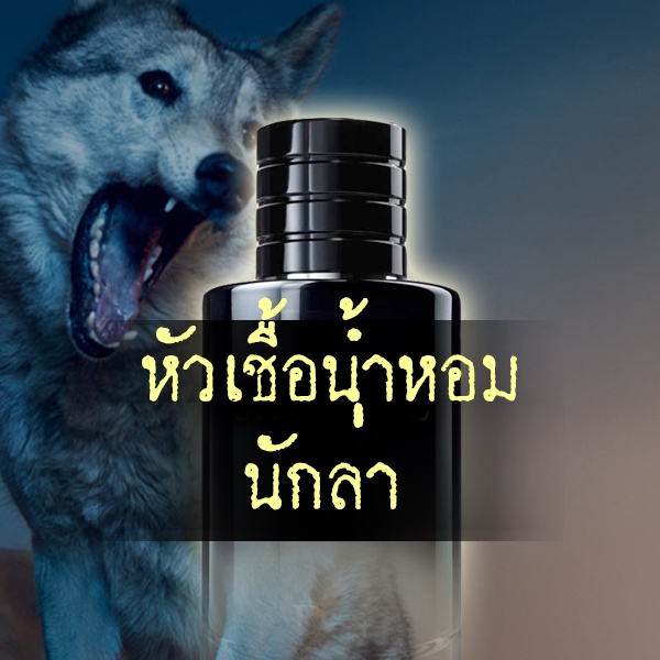 หัวเชื้อฟีโรโมนแท้-100-สเปรย์-wolf-suv-วูฟเซิฟว์-ดึงดูด-ชาย-หญิง-lgbt-เพศตรงข้าม-ขนาด-10-ml