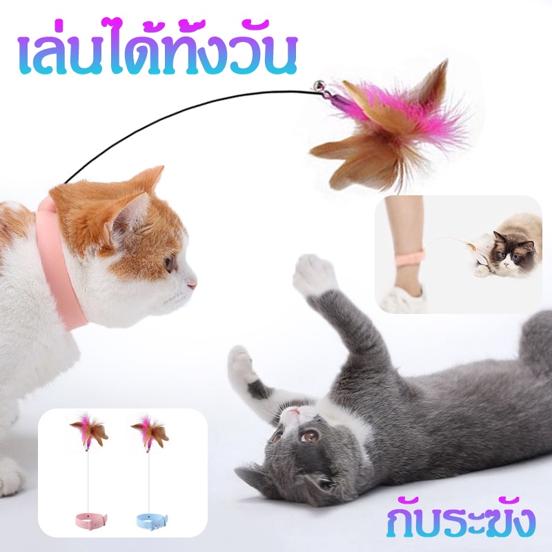 cod-ไม้ตกแมว-ไม้ล่อแมว-ของเล่นแมว-ปลอกคอติดแมวตลก-แท่งแมวตลก-ปลอกคอล่อแมว-มีราคาส่ง