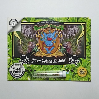 เมล็ดกัญชา Sweet seeds Green Poison XL Auto 7 cannabis seeds