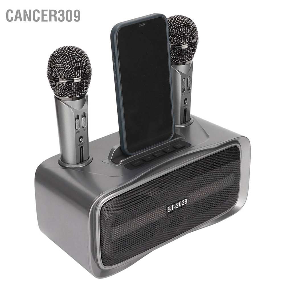 cancer309-st-2028-portable-karaoke-speaker-system-bluetooth-machine-with-2-mic-for-wedding-party-lecture-silver-black