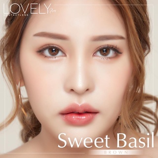 คอนแทคเลนส์🌈Sweet basil🌈 Brown/Gray (Lovelylens) ขนาดมินิ💖