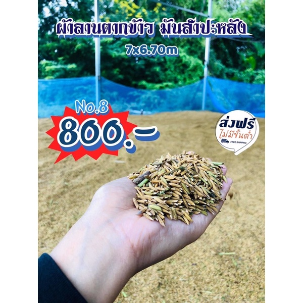 มุ้งไนล่อนฟ้า-6x7เมตร-มุ้งเขียว-ตาข่ายเขียว-ผ้าลานตากข้าว-มันสำปะหลัง-เบอร์8-พร้อมส่ง