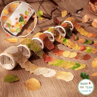 สติ๊กเกอร์ลายใบไม้ 1 ม้วน 50 ชิ้น 🌿 สติ้กเกอร์รูปใบไม้ ต้นไม้ ใบไม้ leaf leaves ไม้ด่าง ใบไม้ด่าง สติ๊กเกอร์ตกแต่ง