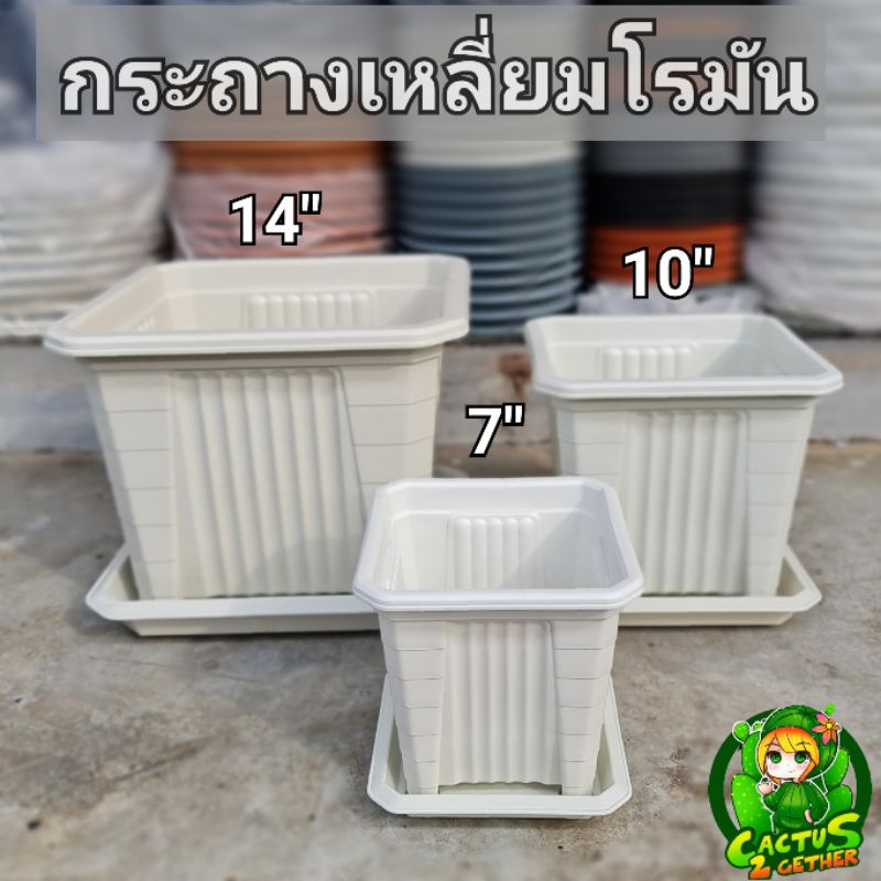 ถูกและหนา-กระถางเหลี่ยมทรงโรมันมีขายกสูง-หนา-7-10-14-กระถางกับจานขายแยกค่ะ-สีขาวครีม-เทา-ดำ-อิฐ