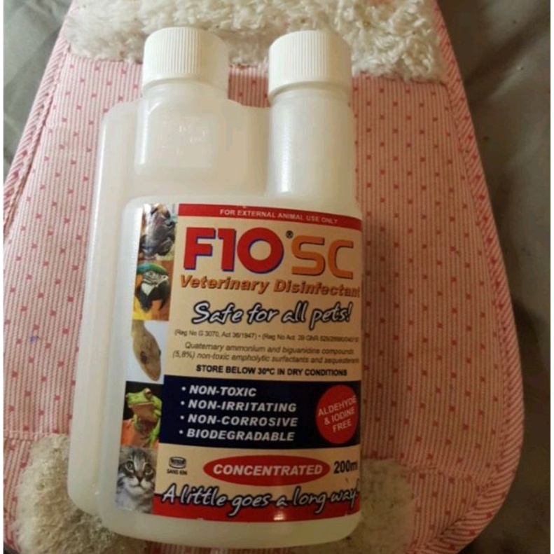 ยาฆ่าเชิ้อF10SCปลอดภัยต่อสัตว์เลี้ยง | Shopee Thailand