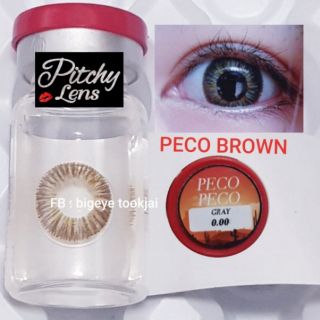 💟 Pitchylens peco brown gray Contactlens  บิ๊กอาย คอนแทคเลนส์ ราคาถูก แถมตลับฟรี