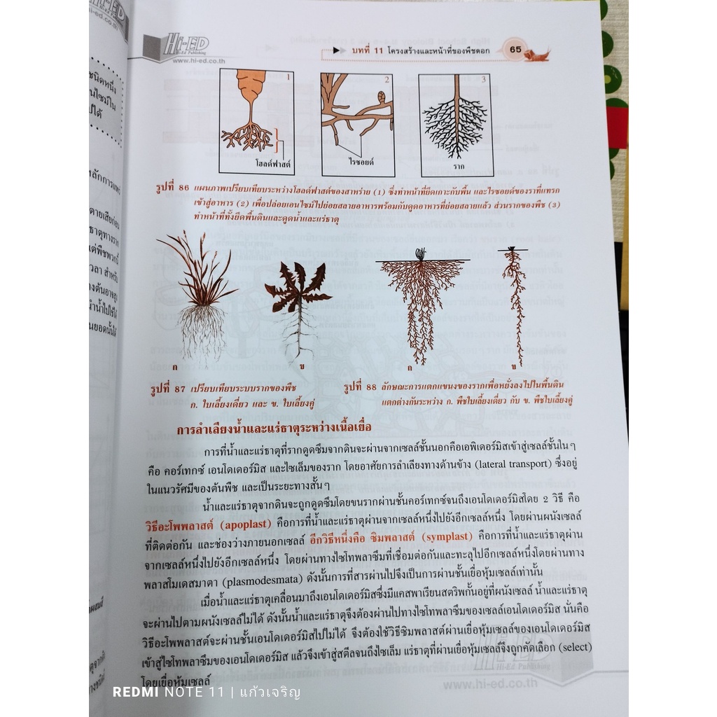 high-school-biology-ชีววิทยา-ม-4-6-เล่ม-3-รายวิชาเพิ่มเติม-เฉลย-9786162371912-hi-ed-เตรียมสอบ