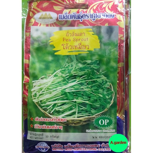 เมล็ดพันธุ์ถั่วลันเตา-โต้วเหมี่ยว-pea-sprout