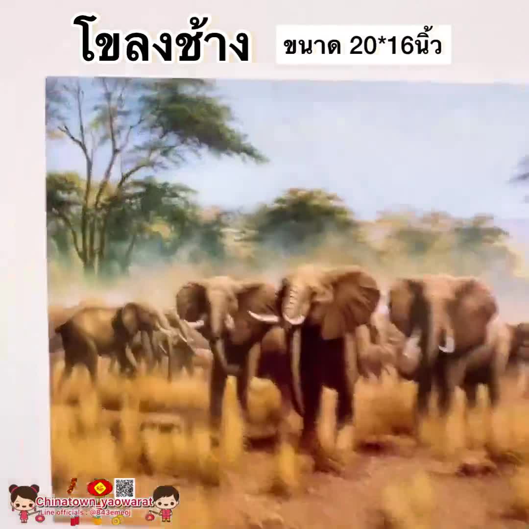 รูปภาพมงคล-โขลงช้าง-ช้าง-ขนาด-20-16นิ้ว-51-41cm-ม้าวิ่ง-ม้าสีหมอก-แปดเซียน-บ่อปลาคราฟ-ภาพฮวงจุ้ย-เทพเจ้าจีน-ช้างคู่