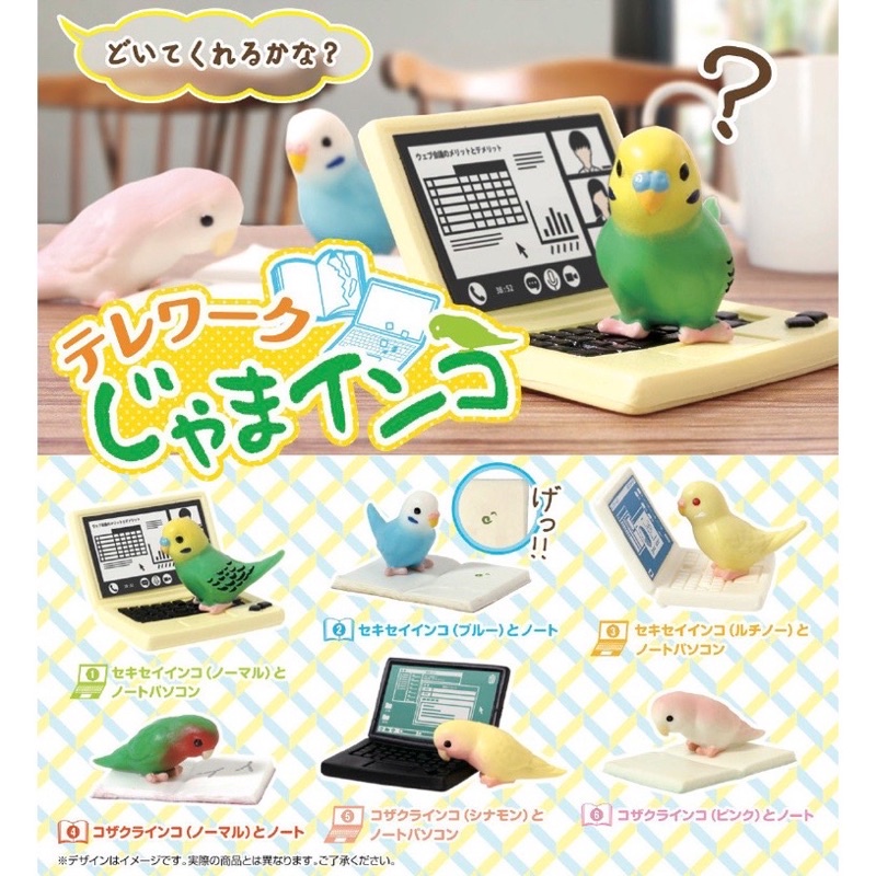 **พร้อมส่ง**กาชาปองน้องนกทำงาน Tele Work Tlinder Parakeet ของแท้..