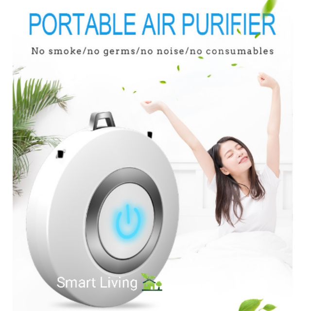 Portable air sanitizer outlet