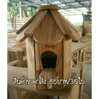 ชูการ์บ้านนก/กระรอก/กระแต/